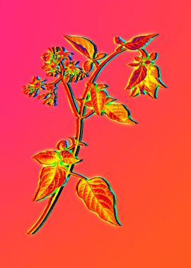 Neon Flower Illustration