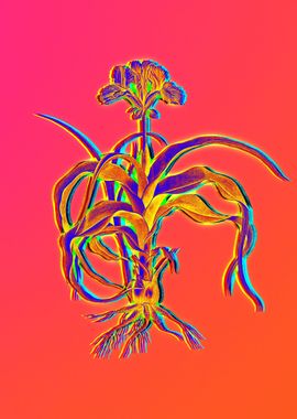 Neon Florals Illustration