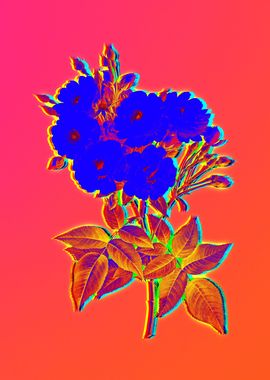 Neon Blue Flower on Pink