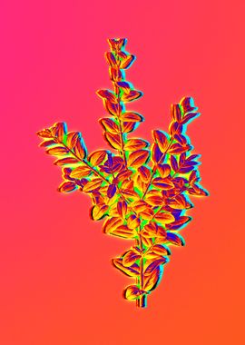 Neon Floral Illustration