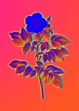 Neon Botanical Drawing