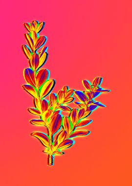 Neon Floral Illustration