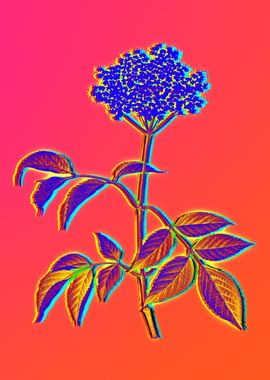 Neon Floral Illustration