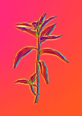 Neon Pink Botanicals