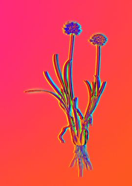 Neon Flower Illustration