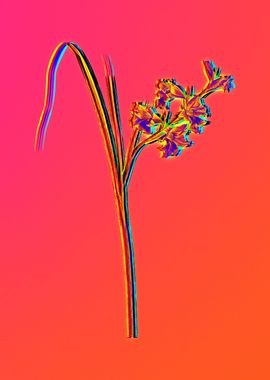 Neon Flower Illustration