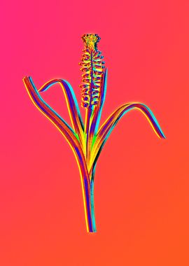 Neon Floral Illustration