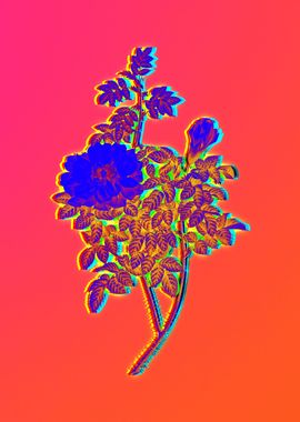 Neon Florals Illustration