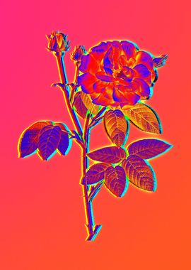 Neon Floral Illustration