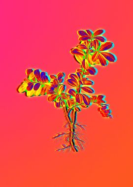 Neon Floral Illustration