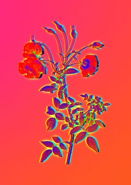 Neon Flowers Illustration