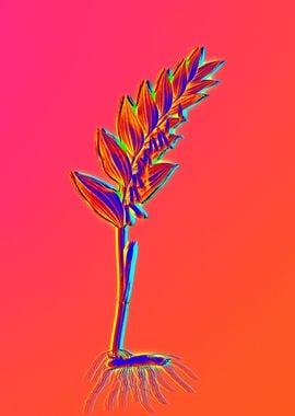 Neon Floral Illustration