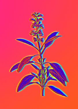 Neon Flowers Illustration