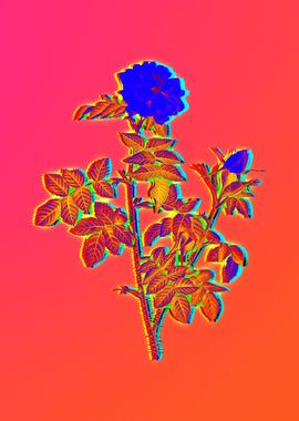 Neon Flowers Illustration