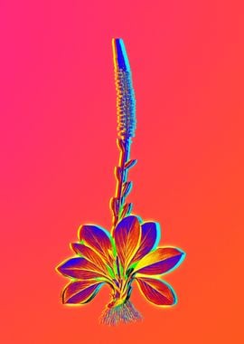 Neon Flower Painting Pink