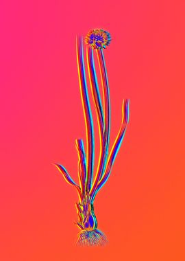 Neon Flower Illustration