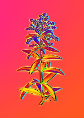 Neon Floral Illustration