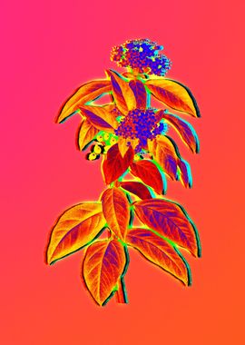 Neon Floral Illustration