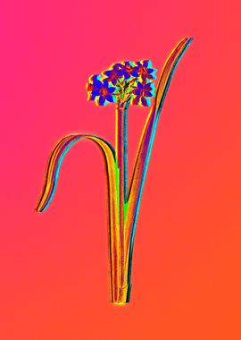 Neon Flowers Illustration