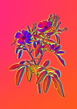 Pink Neon Pop Art Flower