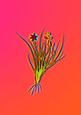 Neon Floral Illustration