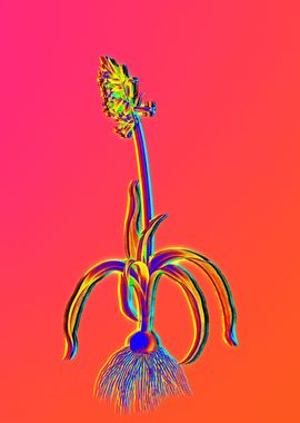 Neon Flowers Illustration