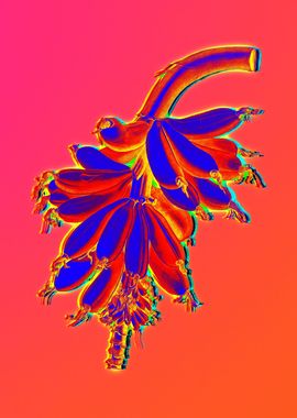 Neon Botanical Drawing