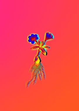 Pink Neon Flower Drawing