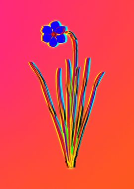 Neon Blue Flower on Pink