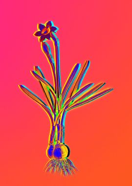 Neon Flower Illustration