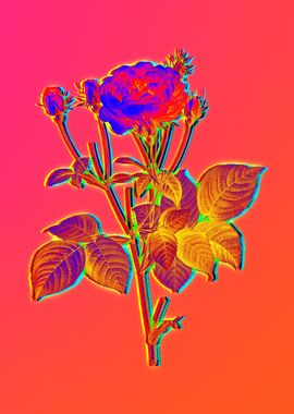 Pink Neon Pop Art Flower