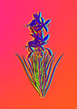 Neon Florals Illustration