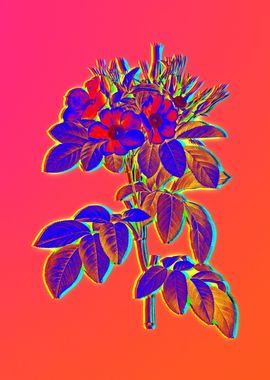 Neon Botanical Drawing