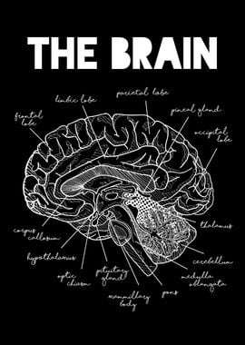 Anatomical Brain ~ Floral Brain ~ Anatomical ~ Brain ~ Cute Badge