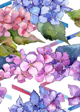 Hydrangea Pattern 24