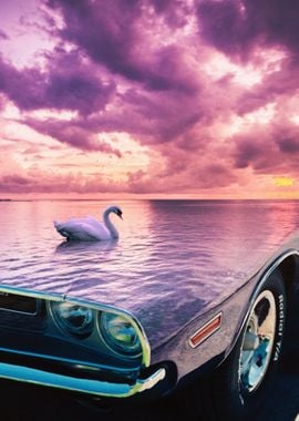 Classic Car and the Swan