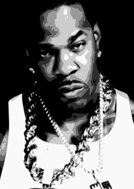 Busta Rhymes