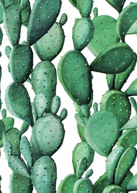 Cactus Pattern 15