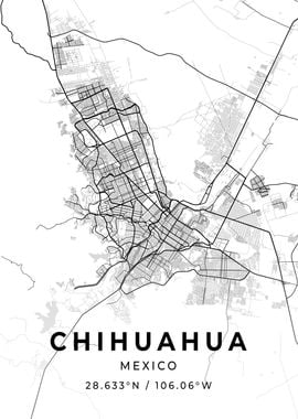 Chihuahua Mexico