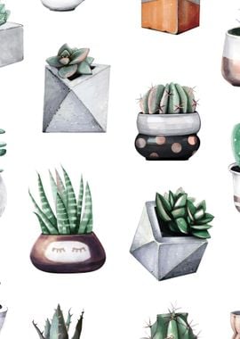 Cactus Pattern 09