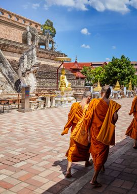 Novice monks