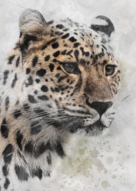 Watercolor Leopard