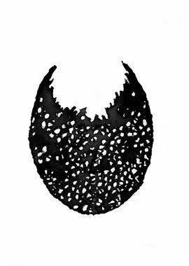 black egg