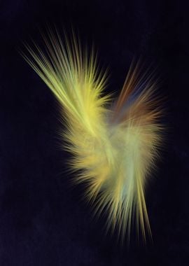 feathers fractal art