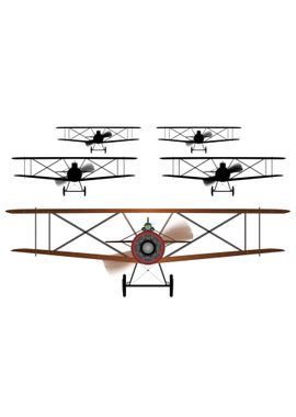 Biplane Squadron