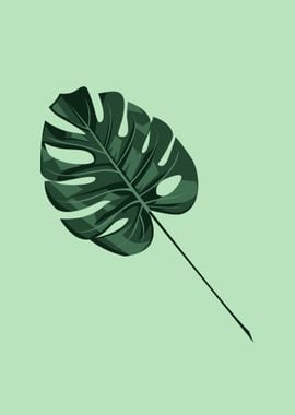 Monstera Deliciosa Leaf