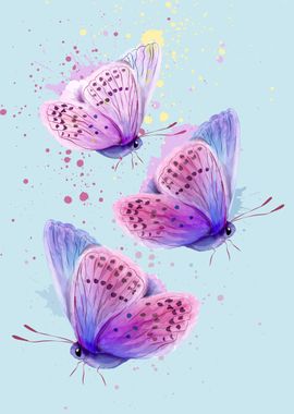 Butterfly 