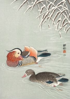 Mandarin ducks 1925