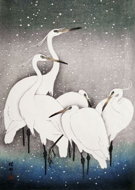 Group of Egrets 1925