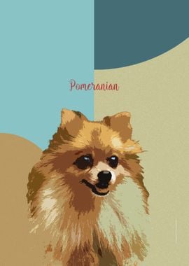 Pomeranian